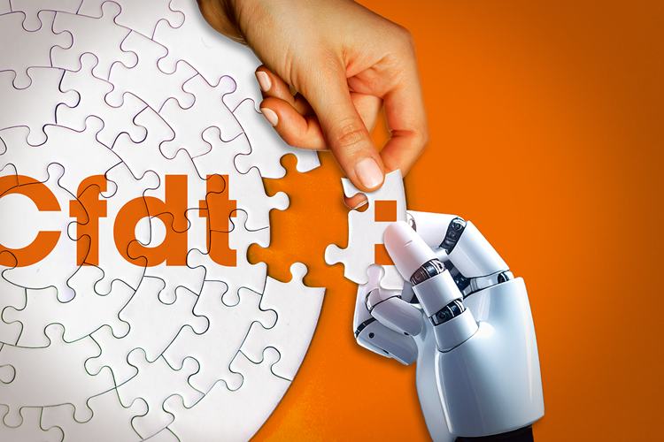Puzzle cfdt 1